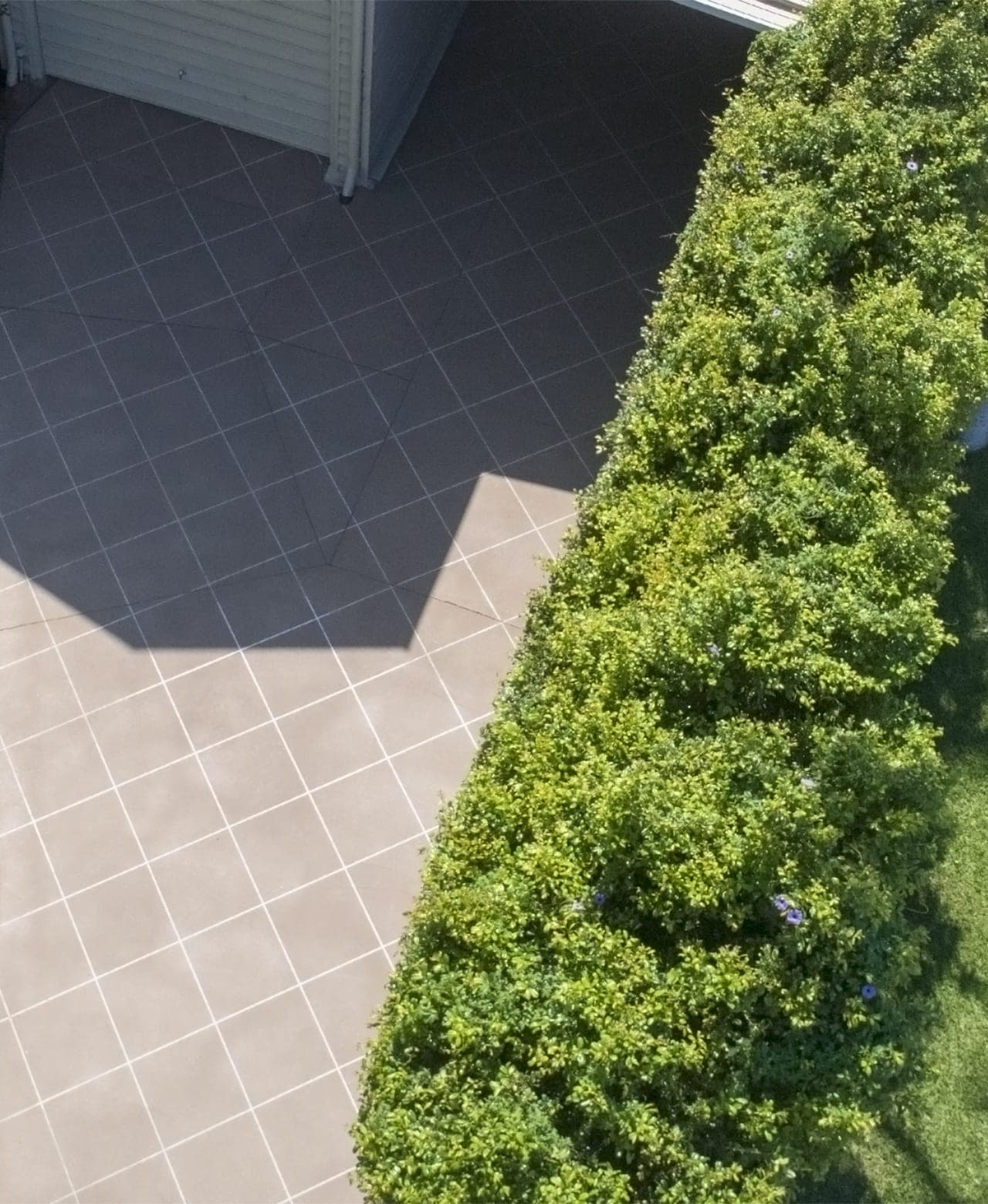 Looking down on Beige Covercrete with white angled-square Stencil lines, half in the shade of the house, beside a flowering hedge.